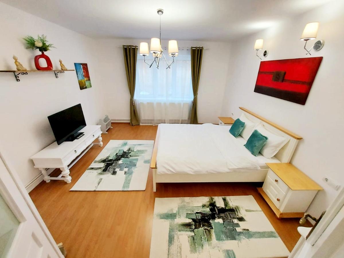 Apartament Casa Dusa - Apartament Crisstina Braszów Zewnętrze zdjęcie